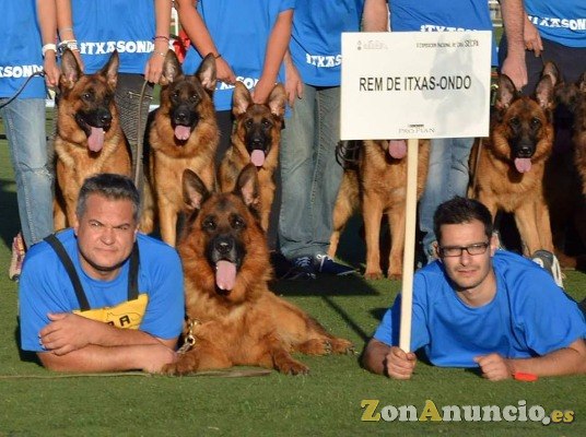 Pastores Alemanes ITXASONDO